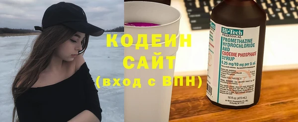 дживик Богородицк