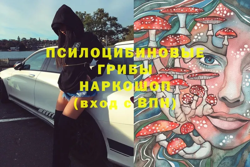 Галлюциногенные грибы Psilocybe  Уфа 